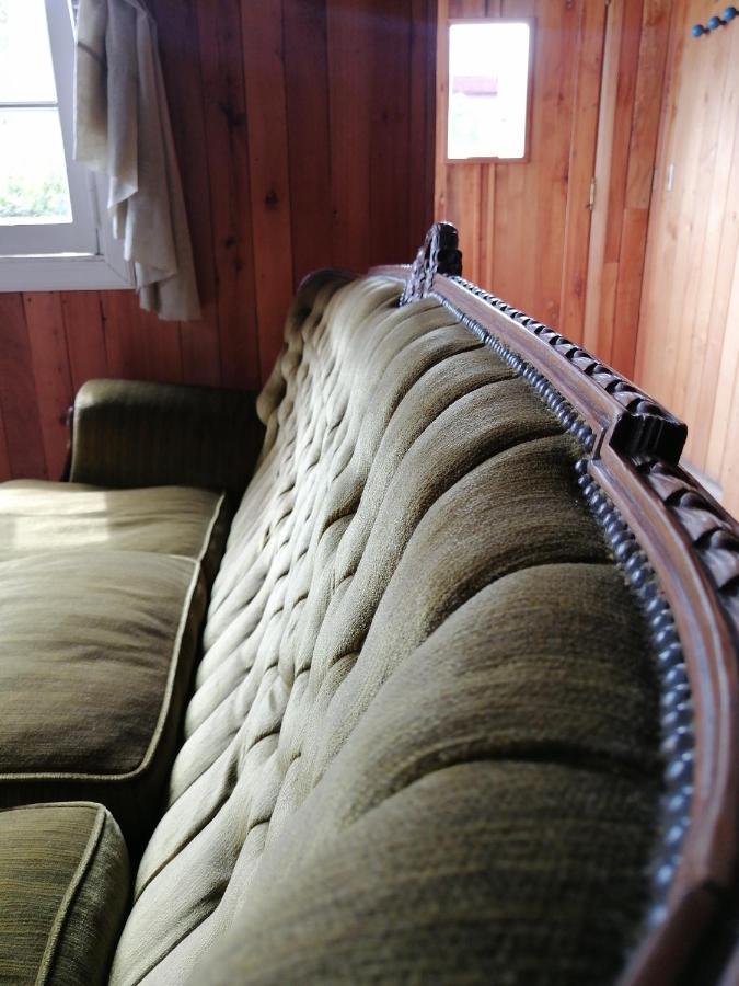 Wesley House Hosteria Boutique San Martín de los Andes Eksteriør bilde